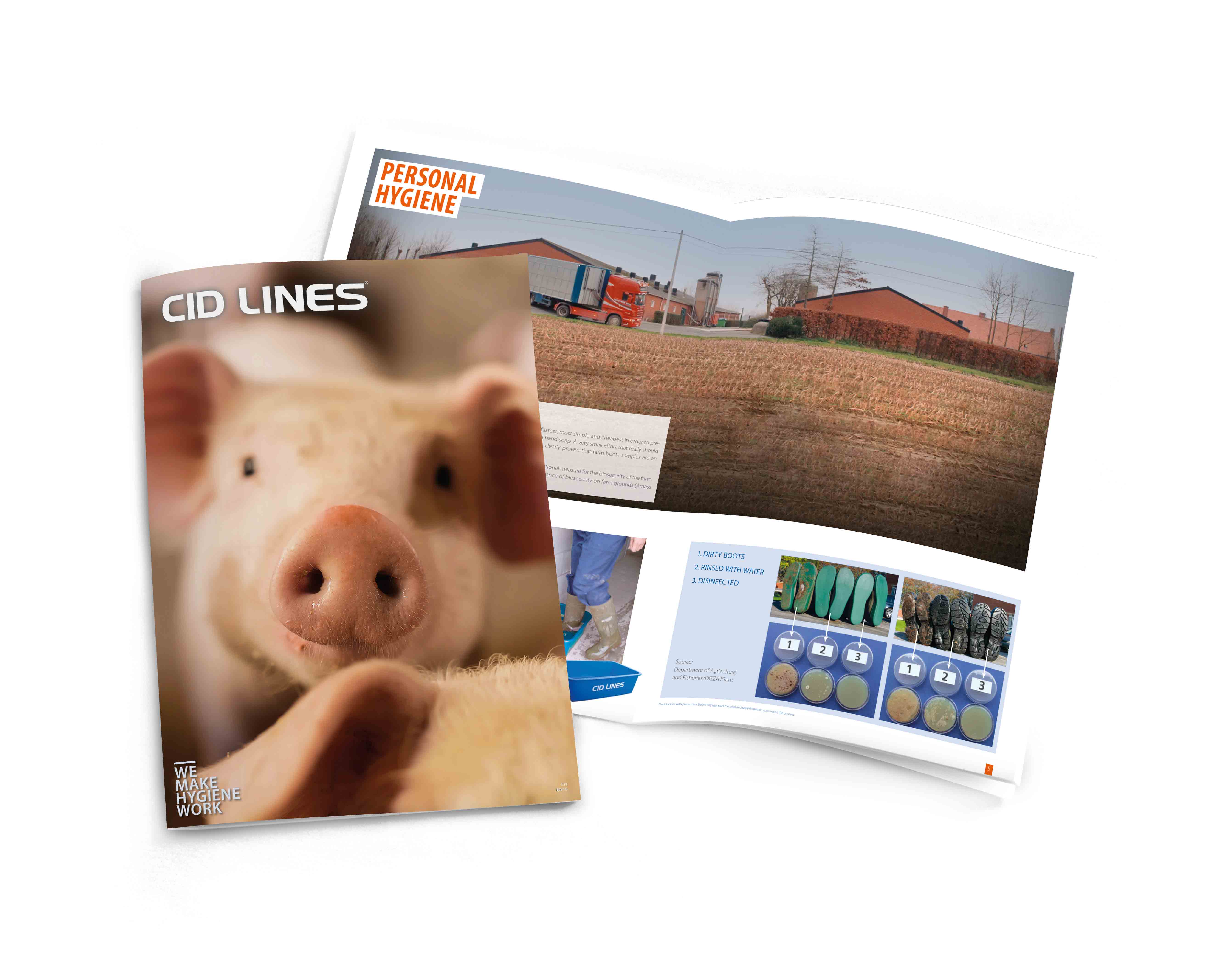 Catalogue pigs