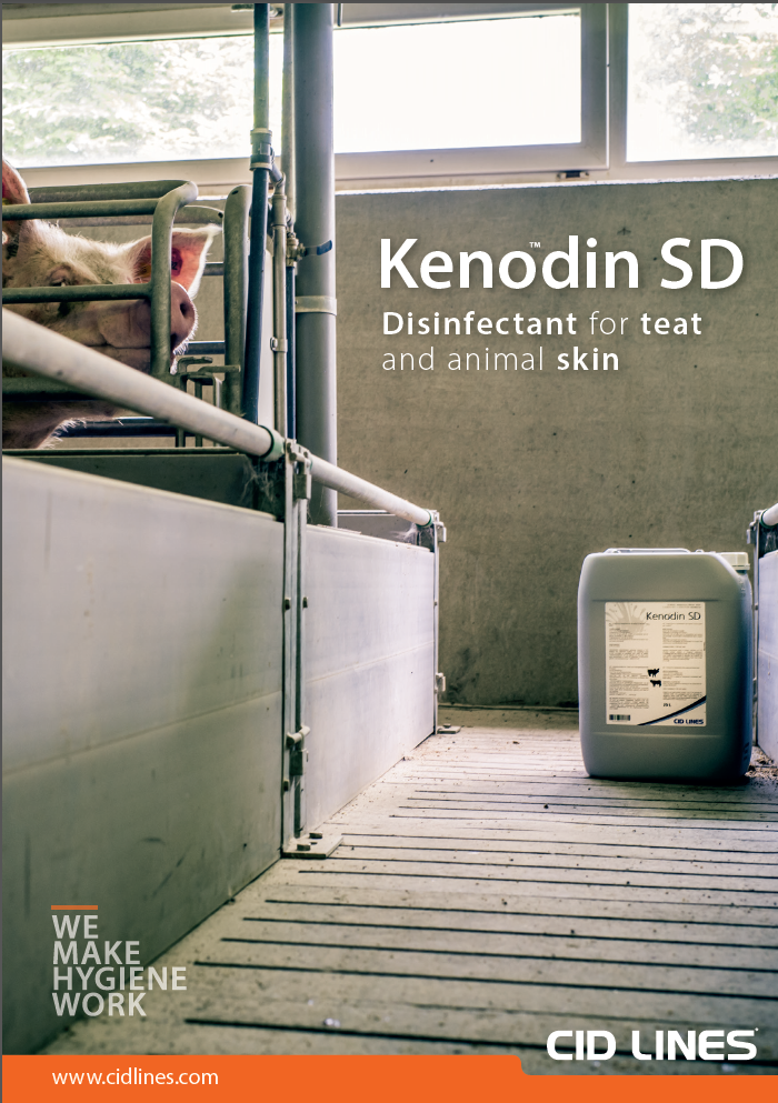 Kenodin SD