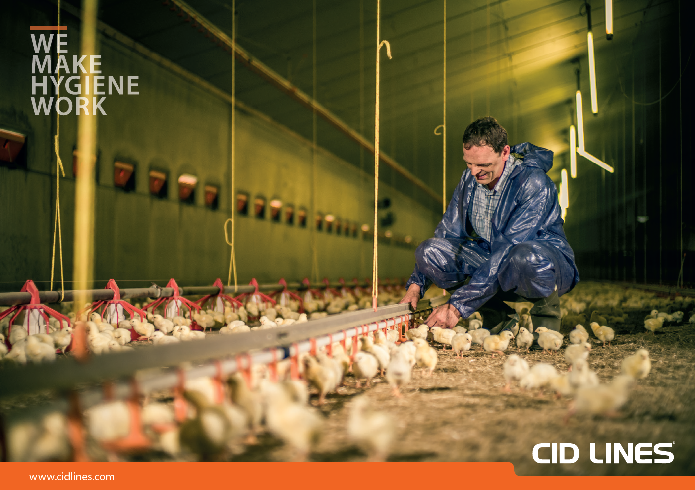 Poultry campaign image