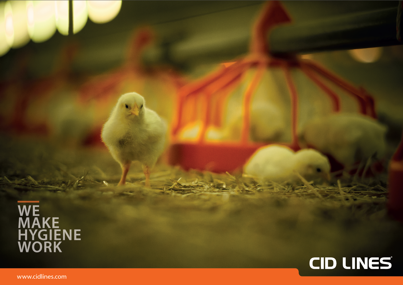 Poultry campaign image