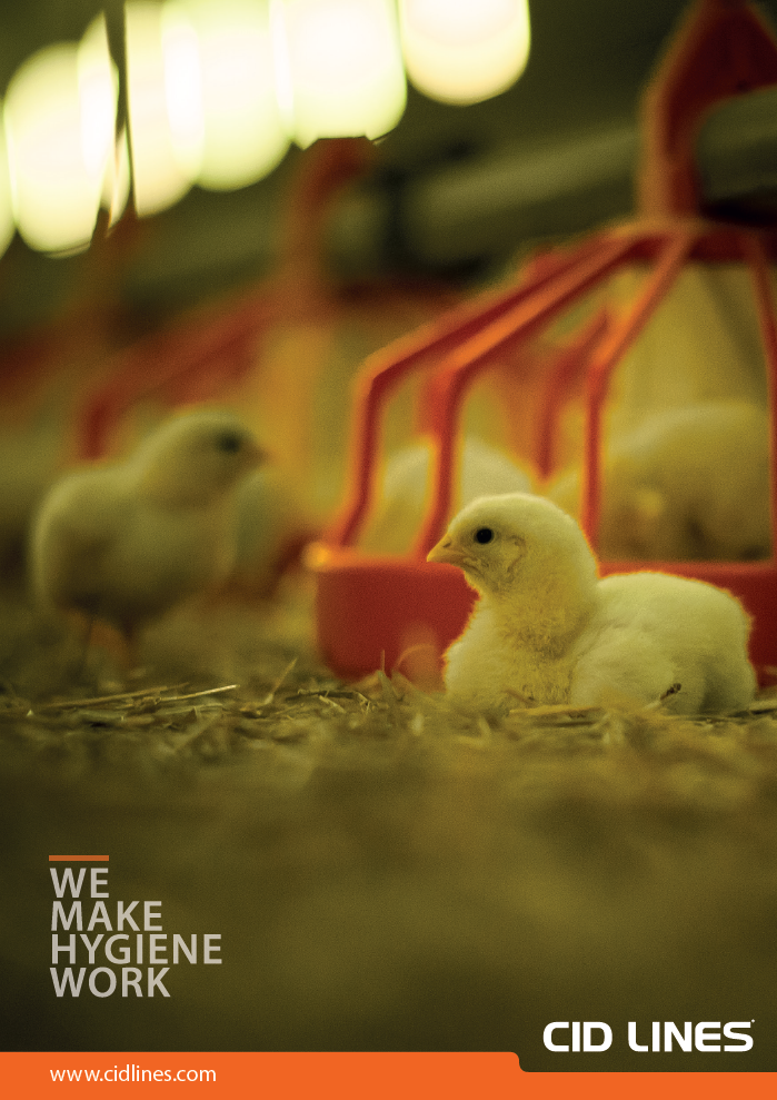 Poultry campaign image