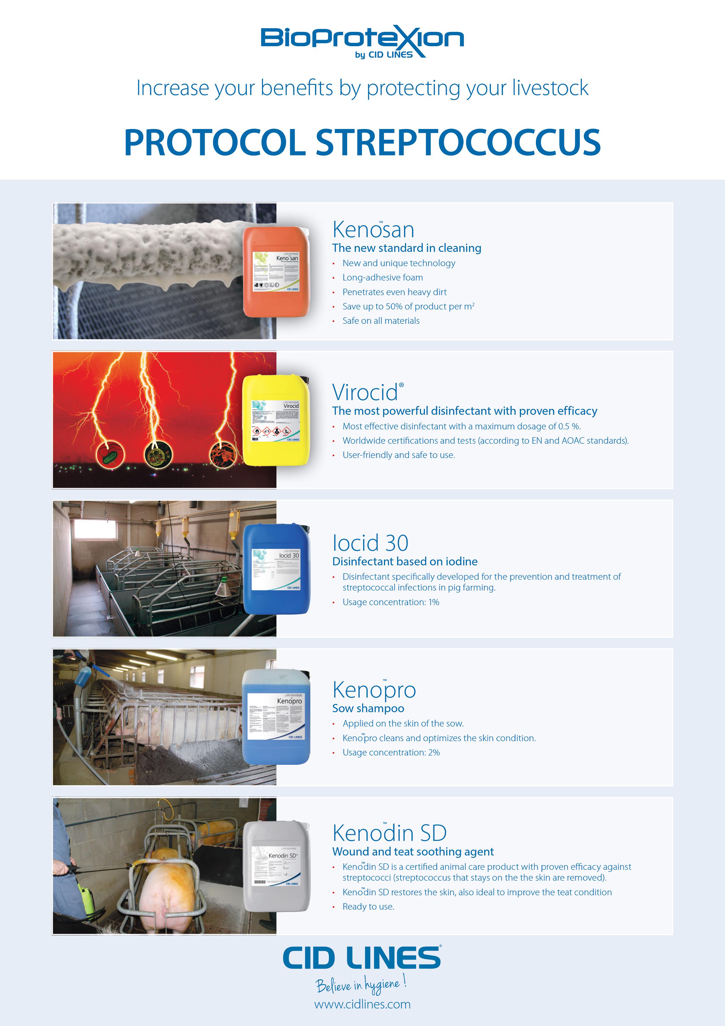 Protocol Streptococcus