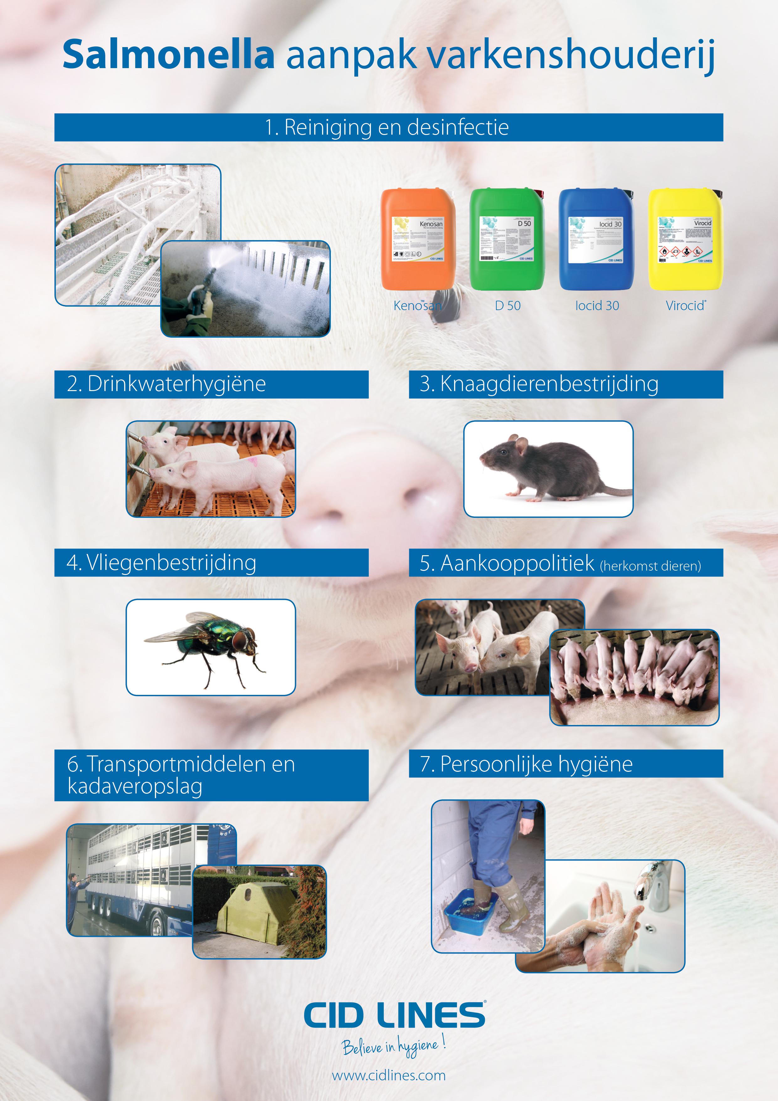 Salmonella: management of pig industry