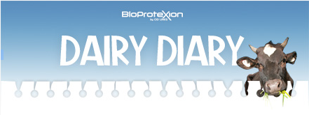 Dairy Diary