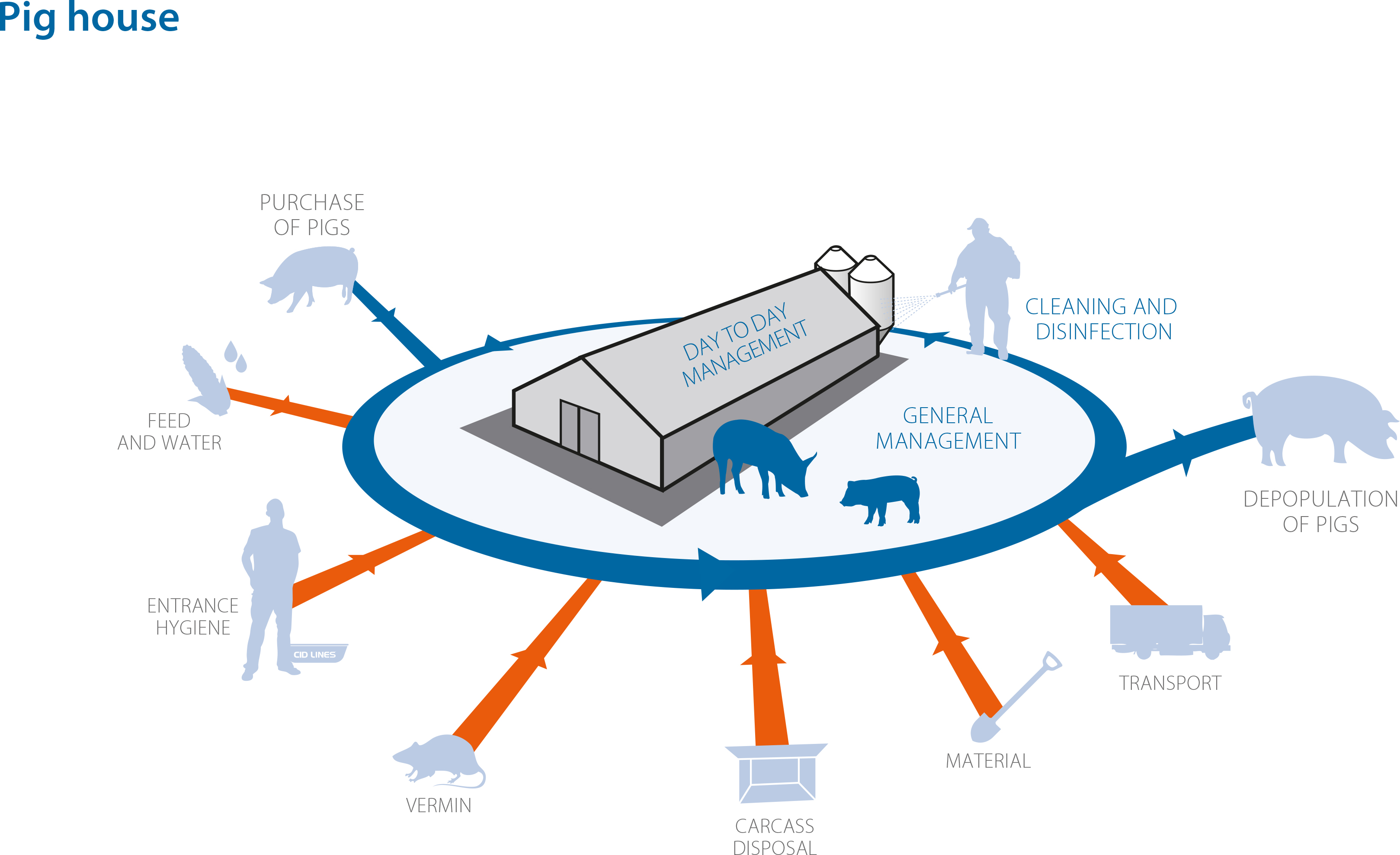 Critical points on the pig farm: Day-to-day management