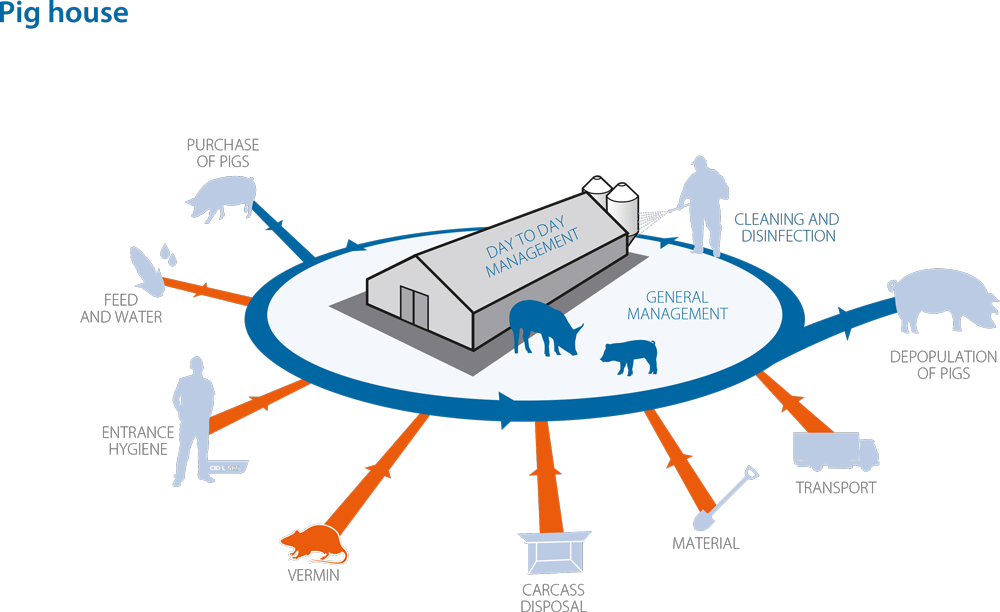 Critical points on a pig farm: Vermin control 